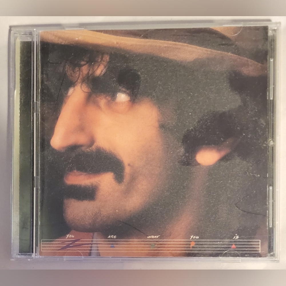 Frank Zappa - You Are What You Is